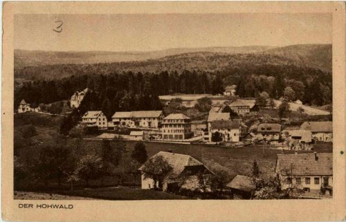 Der Hohwald