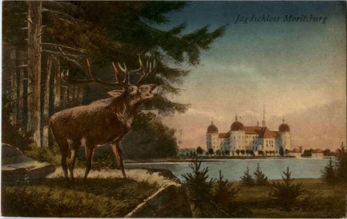 Jagdschloss Moritzburg - Hirsch