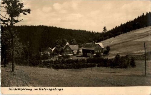 Hirschsprung