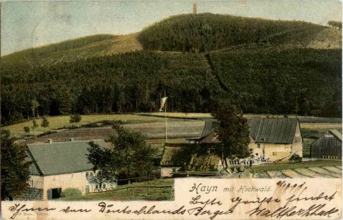 Hayn mit Hochwald