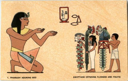 Pharaoh