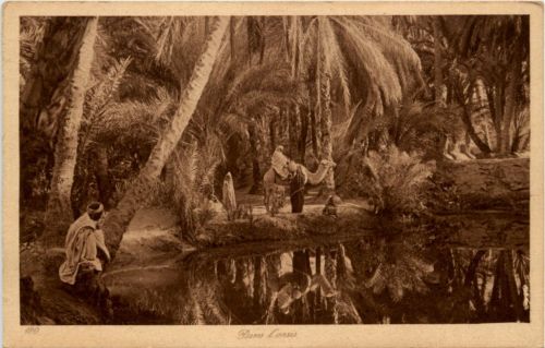 Dans l Oasis