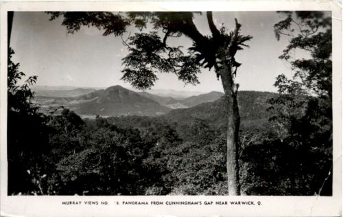 Panorama from Cunningham Gap near Warwick