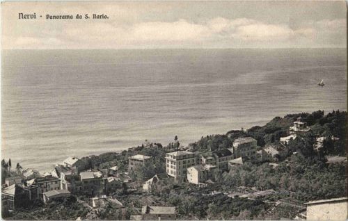 Nervi