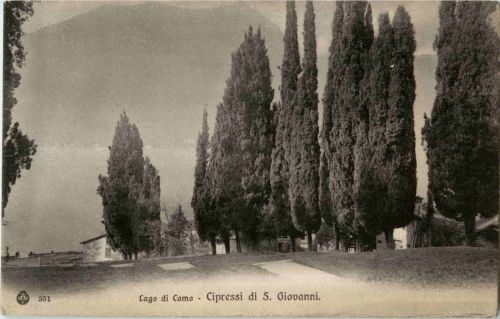 Lago di como - Cipressi di S. Giovanni