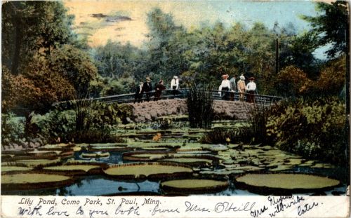 St. Paul - Lily Pond