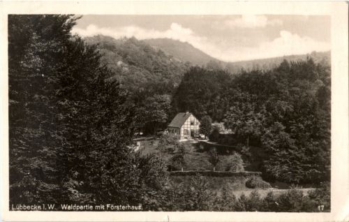 Lübbecke - Waldpartie mit Försterhaus