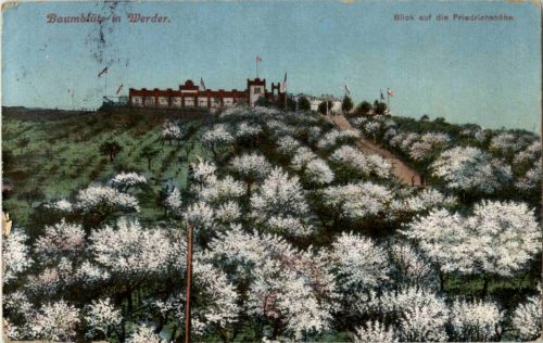 Baumblüte in Werder
