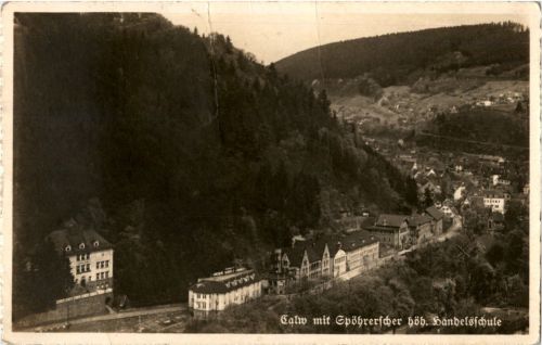Calw