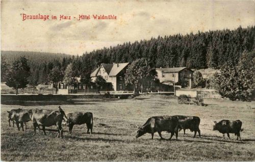 Braunlage - Hotel Waldmühle
