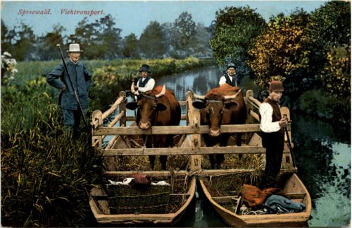 Spreewald - Viehtransport