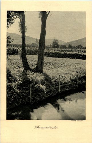 Ammerschwihr