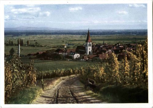 Ammerschweier