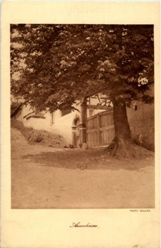 Auenheim