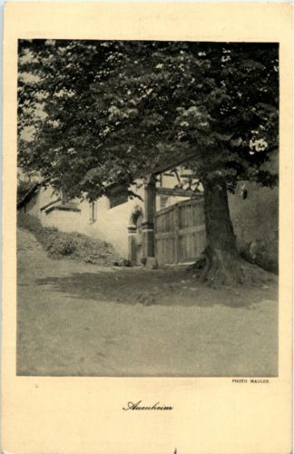 Auenheim
