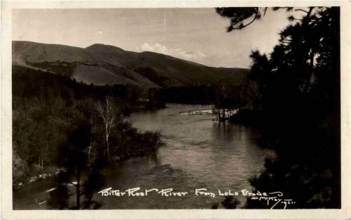 Bitter root river