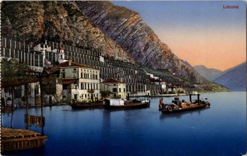 Limone
