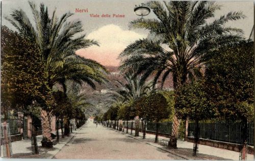Nervi - Viale delle Palme