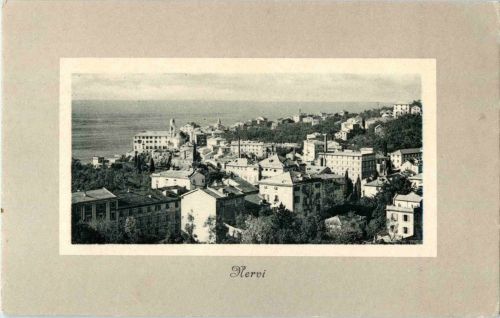 Nervi