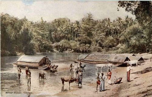 River Scene