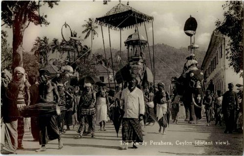 The Kendy Perahera - Elephant
