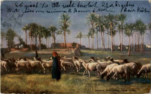 Cairo - Bedouin Shepherds