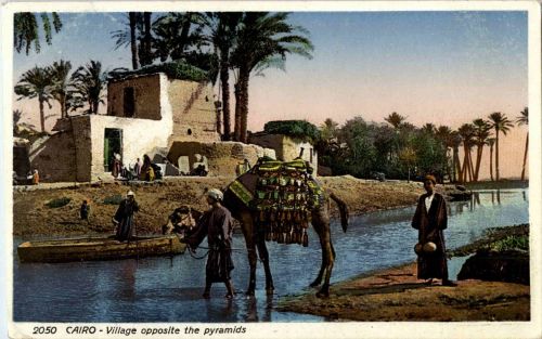 Cairo - Village opposite the pyramids