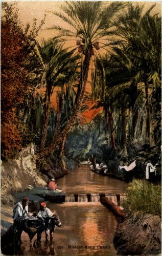 Riviere dans l oasis