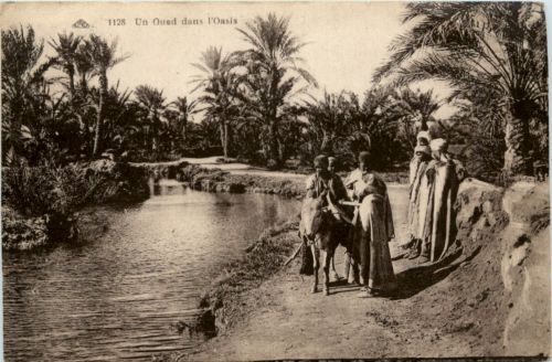 Qued dans l Oasis
