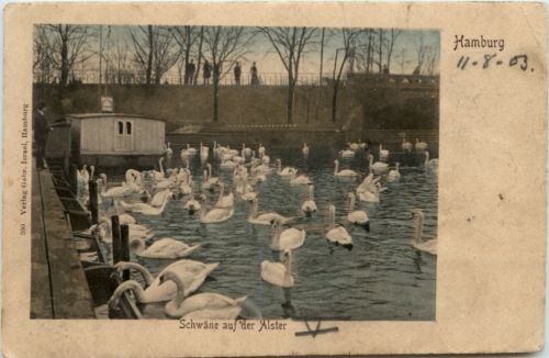 Hamburg - Schwäne auf der Alster