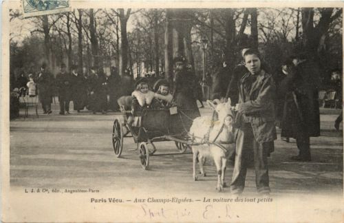 Paris Vecu - La Voiture des tout petits - Goat - Ziege