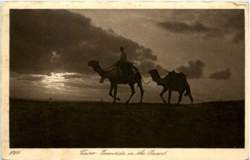 Cairo - Eventide in the desert