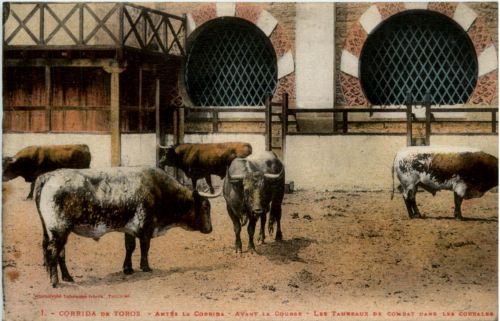 Corrida de Torros