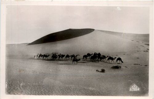 Caravane dans les Dunes