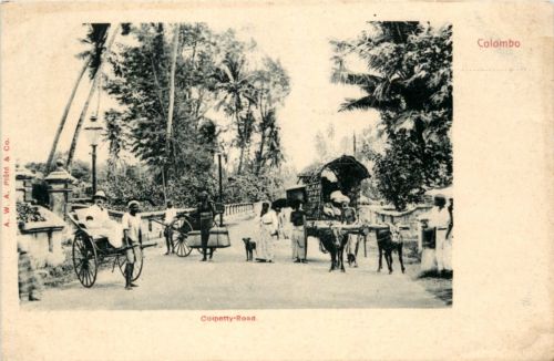 Colombo - Colpetty Road