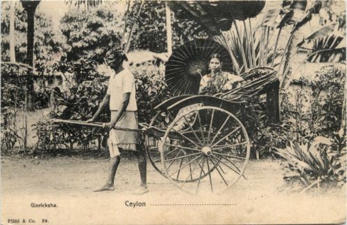 Ceylon Ginricksha
