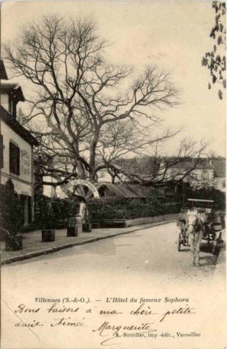 Vilennes - Hotel du fameux Sophora