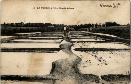 La Tremblade - Marais Salants