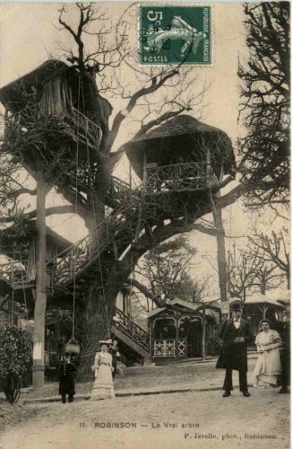 Robinson - Le Vrai arbre