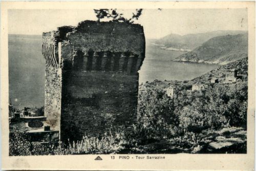 Pino - Tour Sarrazine
