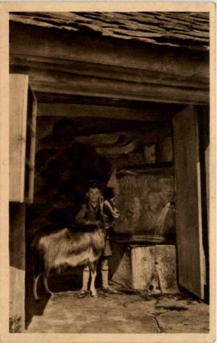 Le Mont Gerbier de Jonc - Goat - Ziege