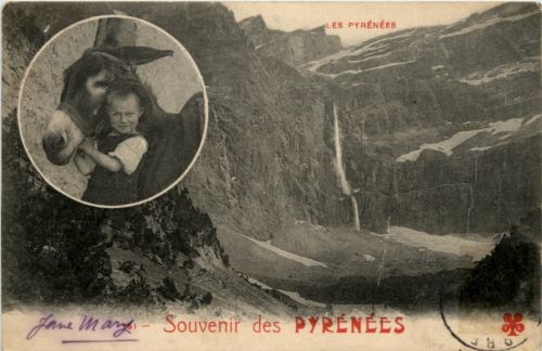 Souvenir des Pyrenees - Donkey