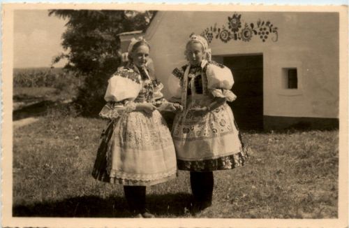Vlenov - Moravske narodni koje - Robatec u Hodonina