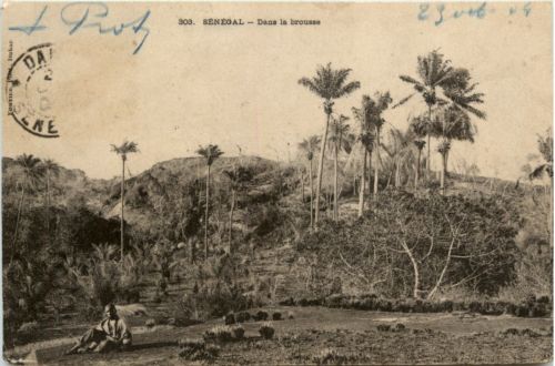Senegal - Dans la brousse