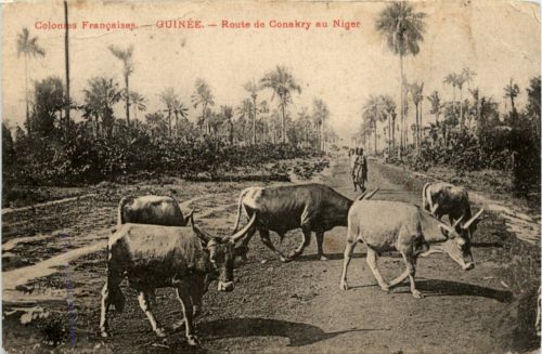 Guinee - Route de Canakry au Niger