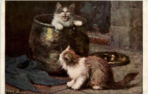 Katzen sign. Huber