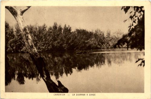 Cameroun - La Dibamba a dinde