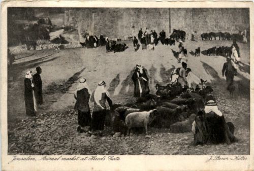 Jerusalem - Animal market