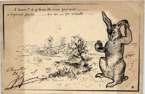 Hase