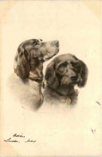 Hunde